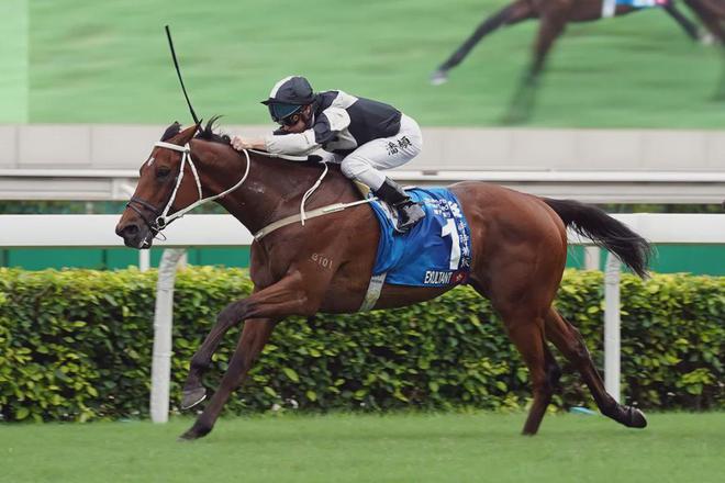戴眼罩夺魁家族曾养香港马王尊龙人生就是博王经纬赛驹(图3)